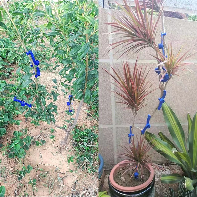 1-6 Százalékos Állítható Növényi Ág Hajlító Bilincs Újrahasznosítható Ágú Alakító Tartó Klip Bonsai Ághajlító Rögzítő Szerszámok - Image 5