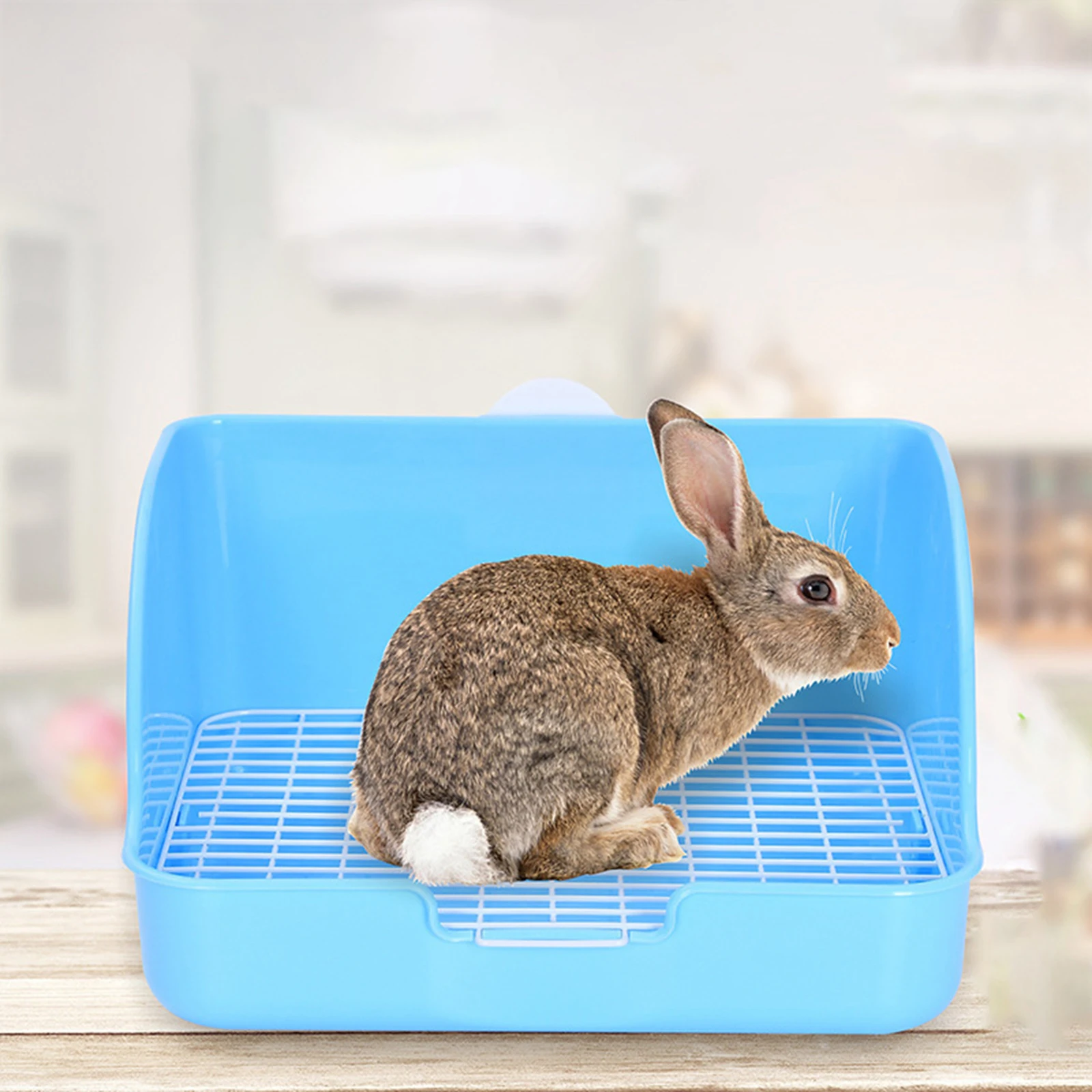 PPPlasticRabbitLitterBoxRectangularPetToiletChinchillasBunny