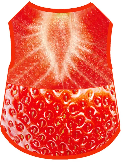 Image 13
