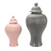 Ceramic General Jar Porcelain Ginger Jar Stripe Sealed Tea Storage Tank with Lid Ceramic Handicraft Ornaments Home Decoration 6