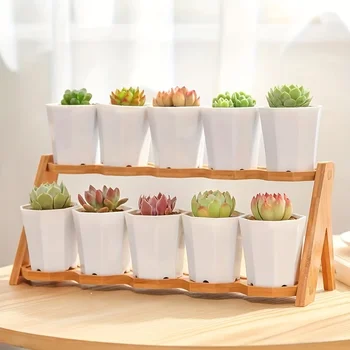 2/4/610 Pieces of White Octagonal Flower Pots Are Very Suitable for Succulent Cacti and Indoor and Outdoor Plant Growth