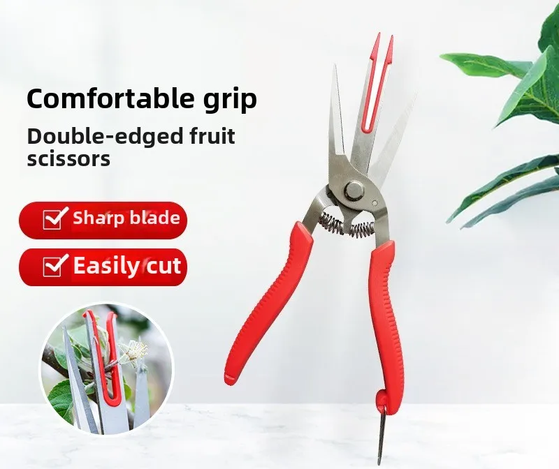 1개의 양날 정원용 전정가위, 배, 키위 과일 따기, 꽃 솎아내기, 과일나무 정원용 도구