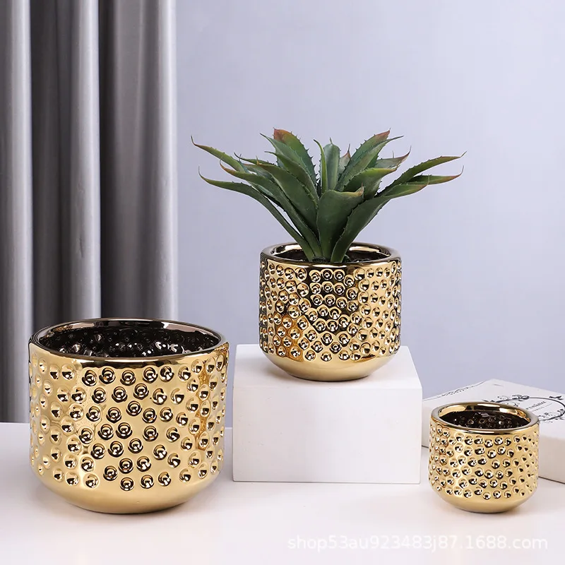 

Luxurious modern and simple Nordic golden ceramic flowerpots fleshy flowers, home living room TV cabinet flower decoration ideas
