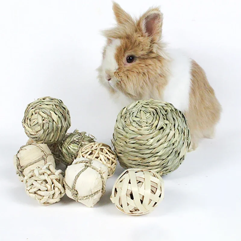 Interactive Toy Natural Grass