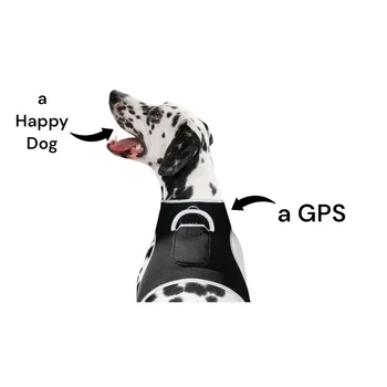 Smart Activity Tracker Real-Time Android GPS Pet Tracker Motion Detect for Easy Pet Tracking Size:XS 2