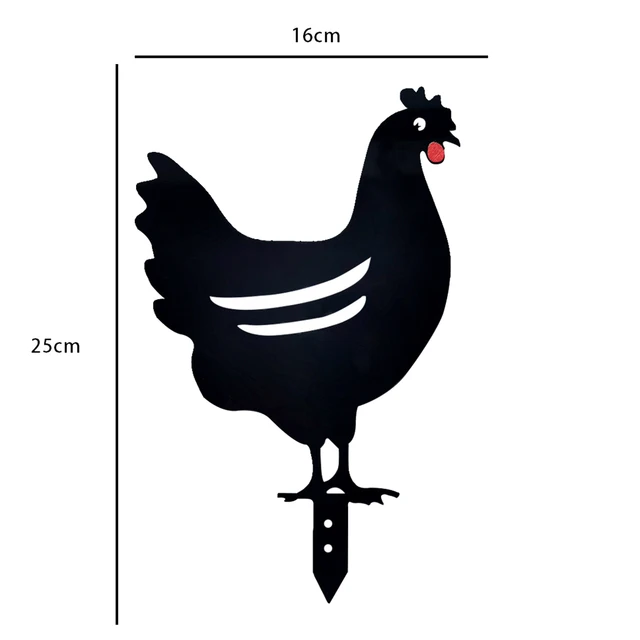 Black Chicken 2