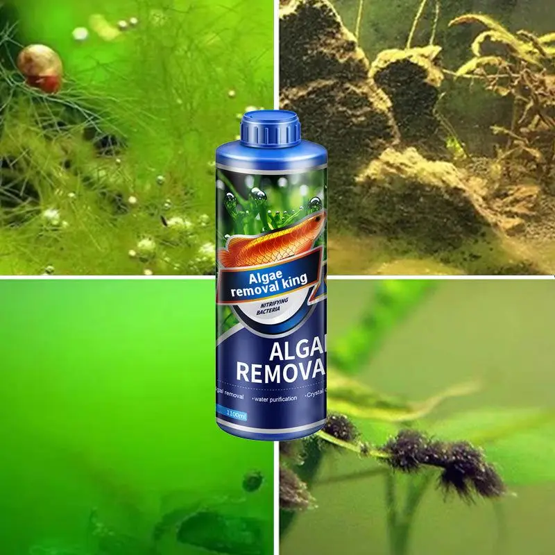 Aquatic Algae Remover 300ml for Fish Tank Pond