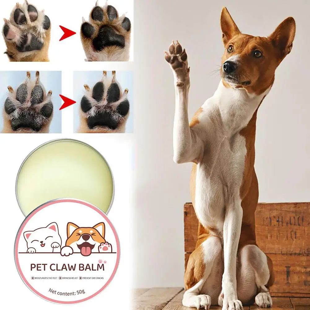 50g Pet Care Balm Box: Dog & Cat Paw Care Cream Suitable For All Pet Foot Types
