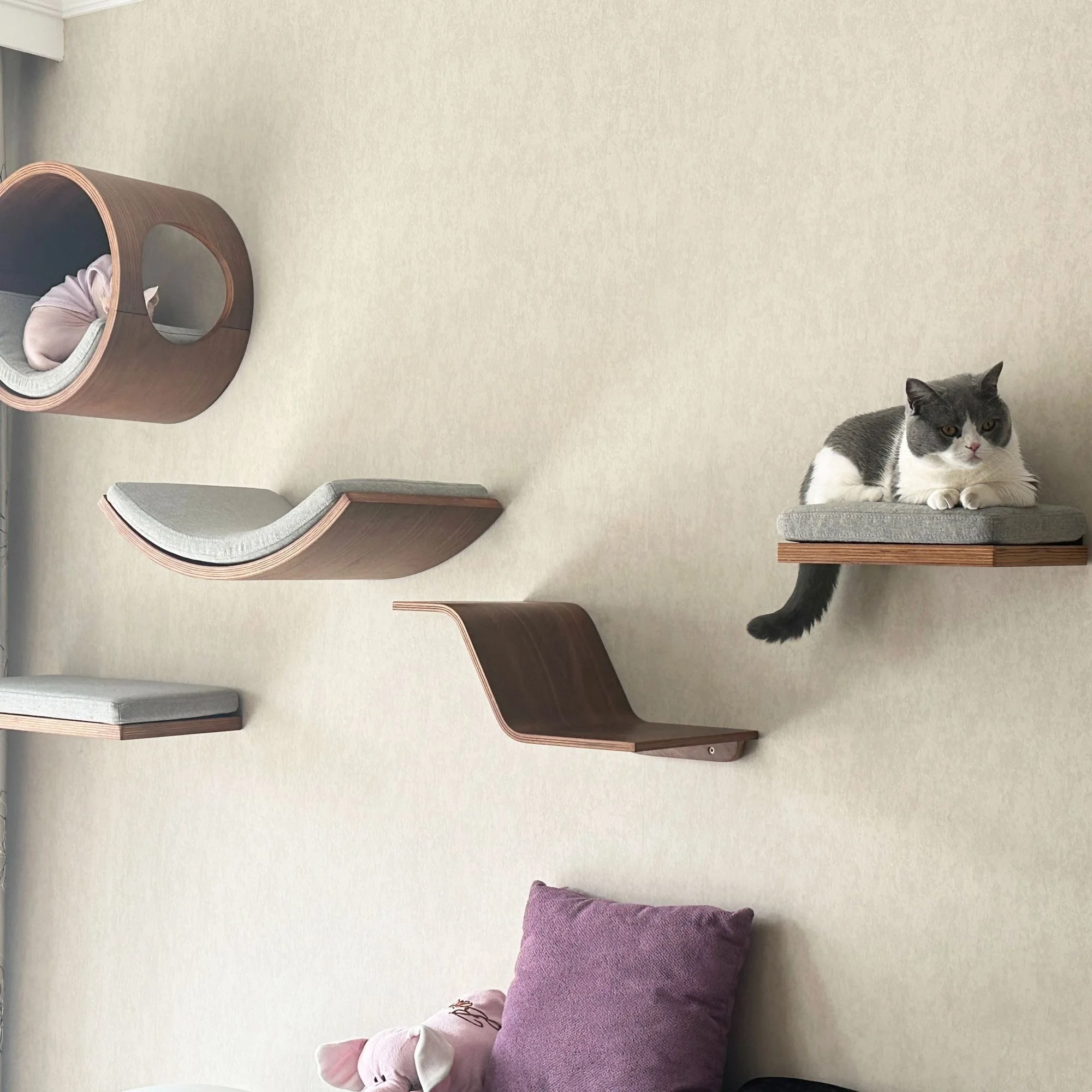 Massivholz Katzen-Wandset: Wandmontiertes Katzenbett mit Katzenbaum-Kombination, Katzenspielplatz, der Bodenfläche befreit – Detail 5