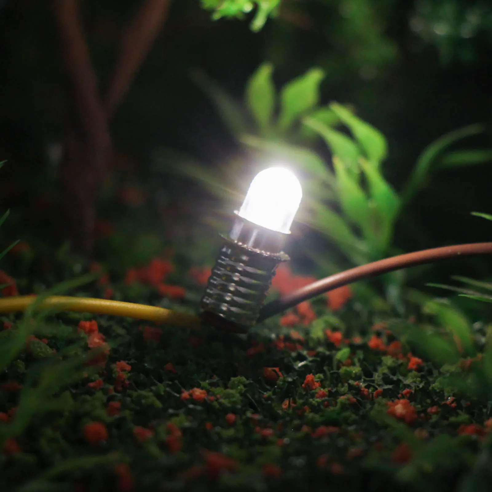 10pcs Warm White Bright White E5 E5.5 LEDs Screw Bulbs Stand Holder 12V E505 led lamp lighting smd led lights