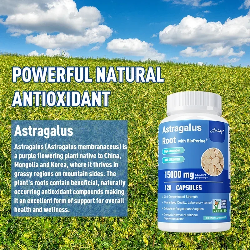 Astragalus Root Capsules 15000mg Supports Heart and Liver Health Enhances Immunity