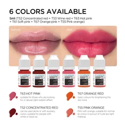 Vibrant 14 - Color Permanent Makeup Pigment Set for Lips, Eyebrows, & Eyeliners (6 COLORS AVAILABLE)