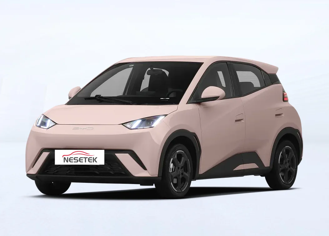 2023 оптовая продажа, новый Электромобиль, четырехколесный BYD Haiou 305 км, мини-автомобиль для взрослых, дешевый новый Подержанный электроавтомобиль для продажи
