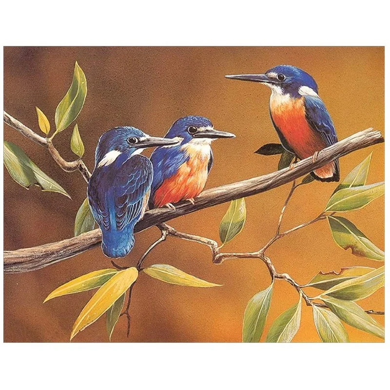 

Набор для алмазной вышивки, с птицами