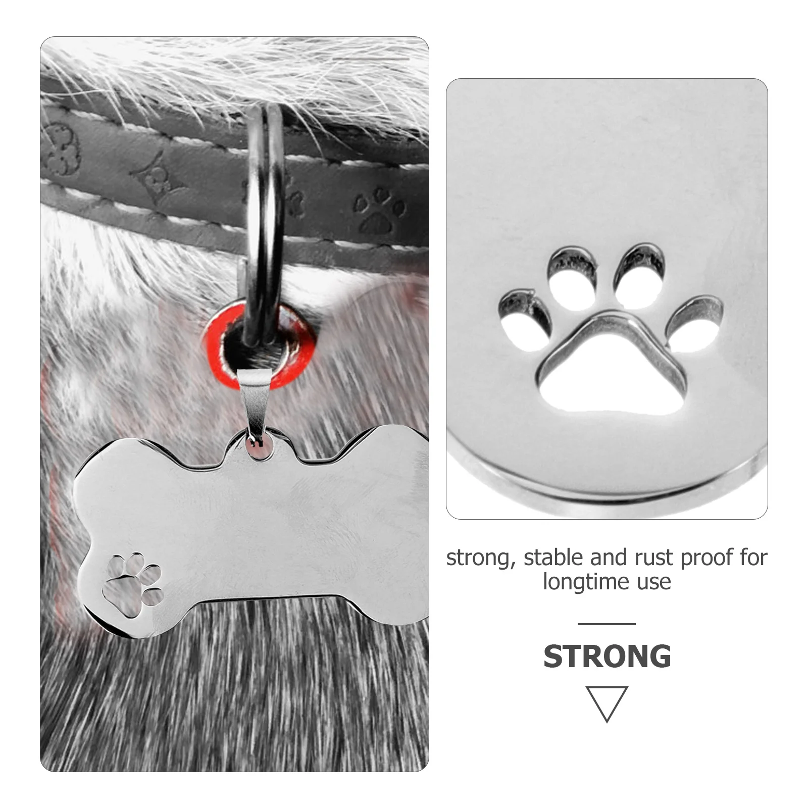Dog Id Tag 10 Pcs Stainless Steel Dog Tags Personalized Engraved Pet Id Tags For Collars Harnesses Leads Bone Shape