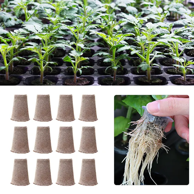 12Db Ültetési Szivacsok Kompatibilis Mag Hüvely Cseréje Mindennőkhöz, Bármi Készlet És Hüvelyek - Image 4