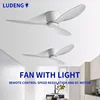 Low Floor Living Room with Lights and Remote Control Ceiling Fan, High Wind Power, Indoor Bedroom, Living Room, Dining Room 1