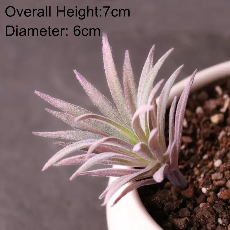 Artificial Succulent Plants for Home and Office Decor - Mini Bonsai Enhancements