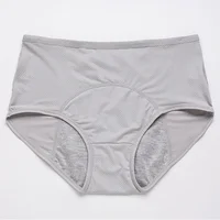 Slip physiologique pour femmes, 2 pièces, culotte menstruelle pour filles, anti-fuite, taille moyenne, sous-vêtements en soie glacée 5