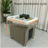Mobile Shampoo Basin Beauty Salon Ear Cleaning Hair Care Center Health Water Circulation Head Treatment Fumigation Spa Machine 4