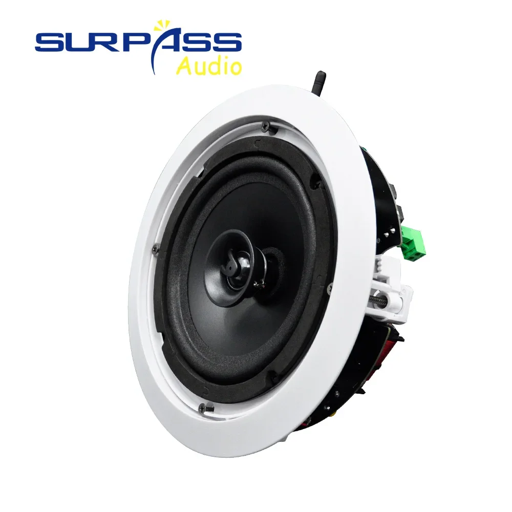 Smart WIFI Ceiling Speaker Indoor Active Wireless Bluetooth Coaxial Wired Speaker In Pair Home Theather Sound System App Control