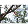 14FT Stainless Steel Pole Saw Tree Trimming Cutter Extension Pruning Blade Manual Yard Garden Patios Trees Oak Palm Fronds Pines 6