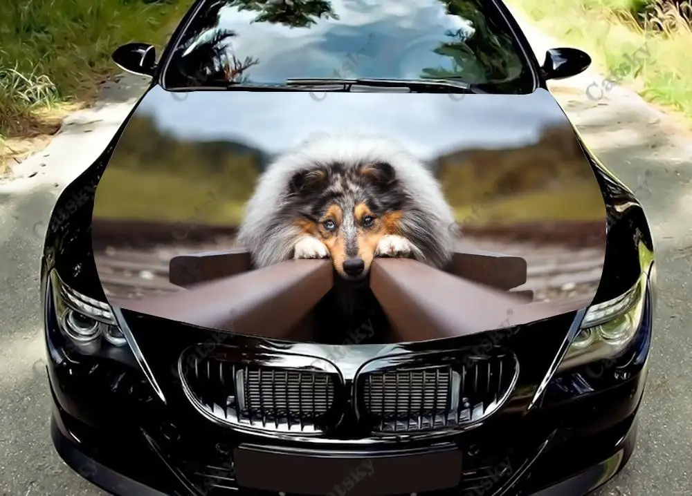

Грубая наклейка на капот автомобиля Collie, виниловые аксессуары для гоночной краски, самоклеящаяся картина для грузовика, внедорожника, автомобильная наклейка