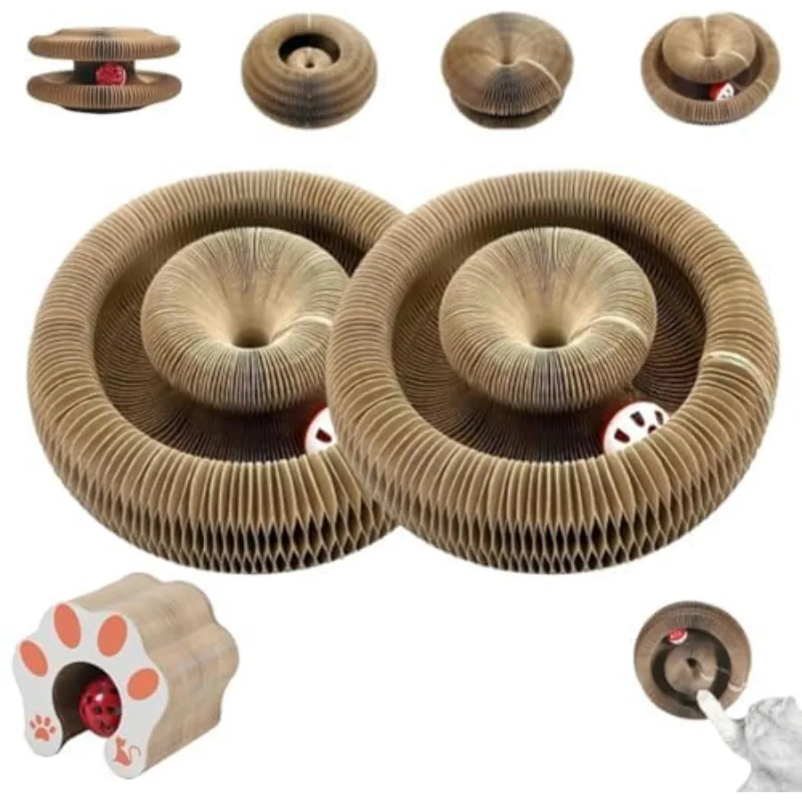 buy cats accessories