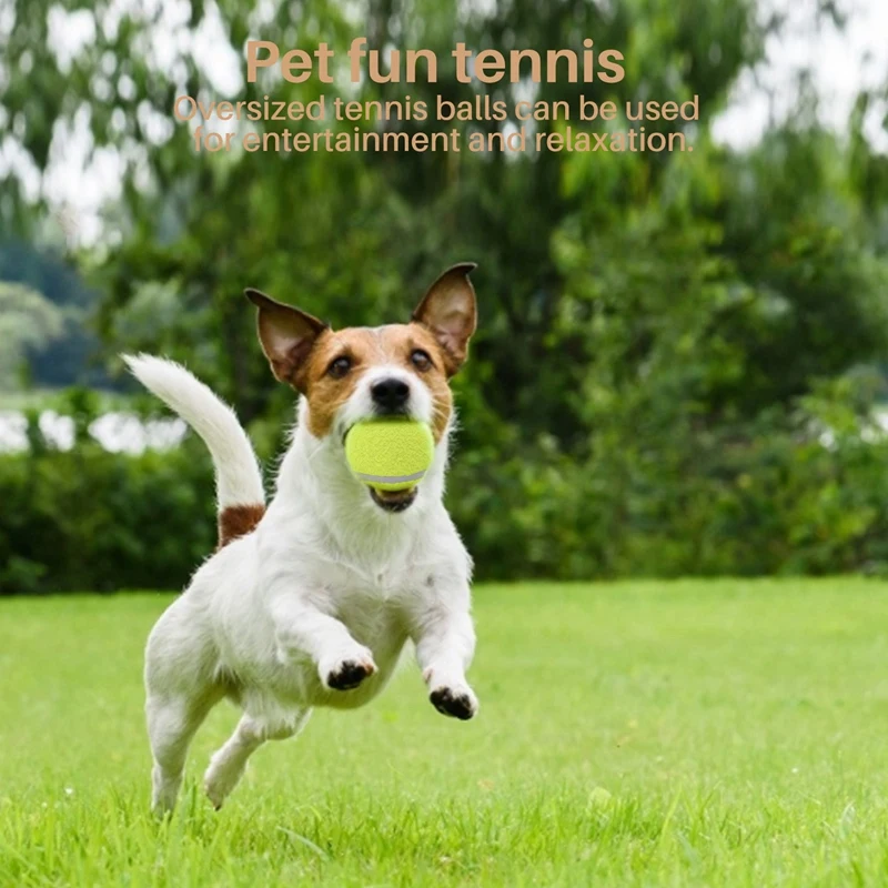 9.5" Oversize Giant Tennis Ball for Children Adult Pet Fun