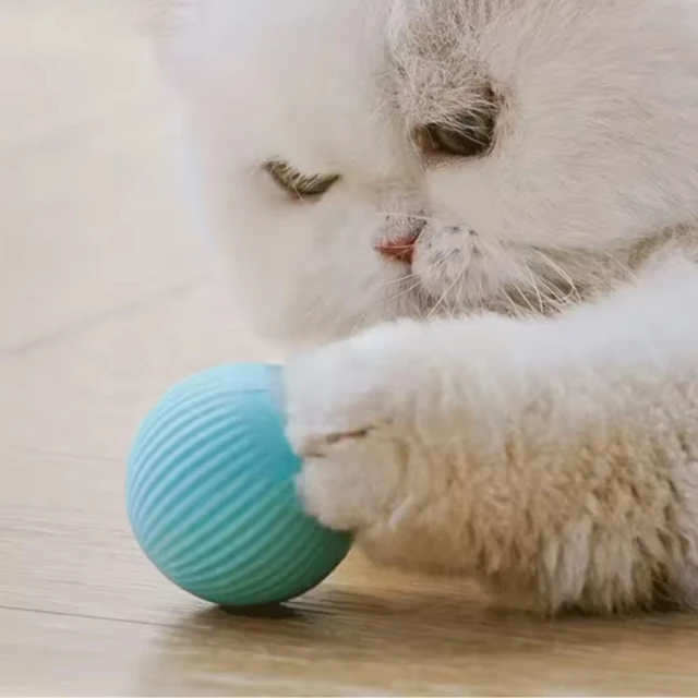 Automatic Moving Ball for Dog and Cat Smart USB Jumping Rotating Interactive Toy Chew Toy for Puppy and Kitten 3