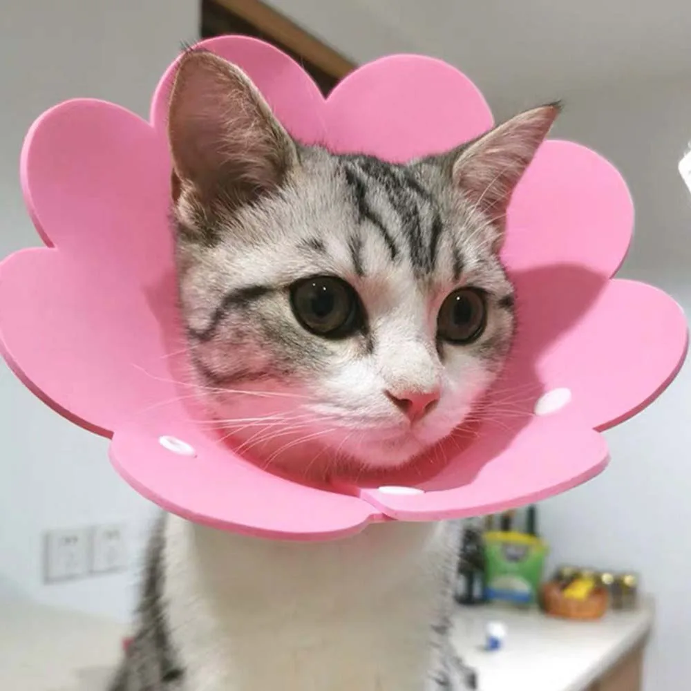 Adorable Pet Recovery Collars – Protective Anti-Bite Healing Cones