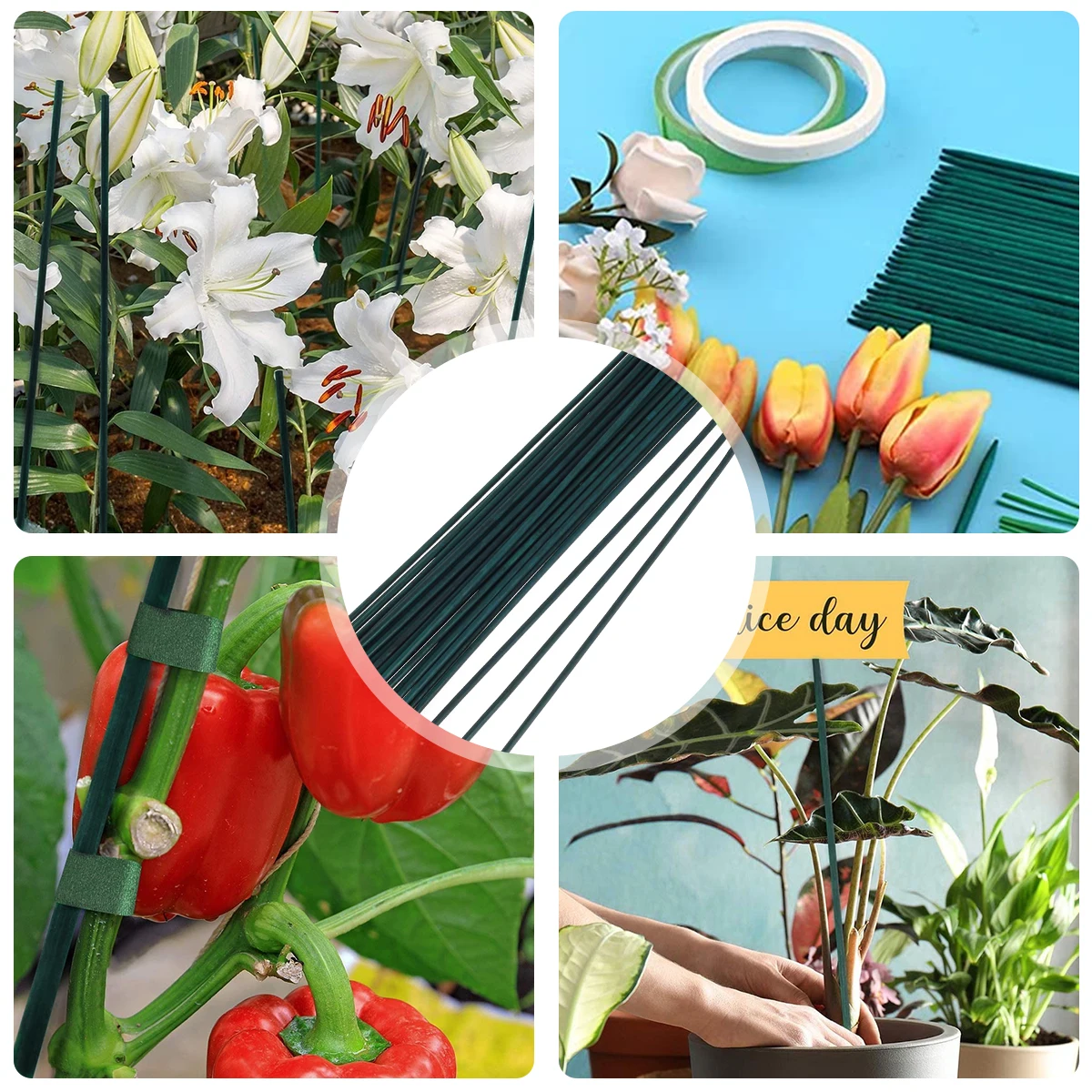 Bamboo Green Plant Support Sticks for Climbing Vines and Flowers