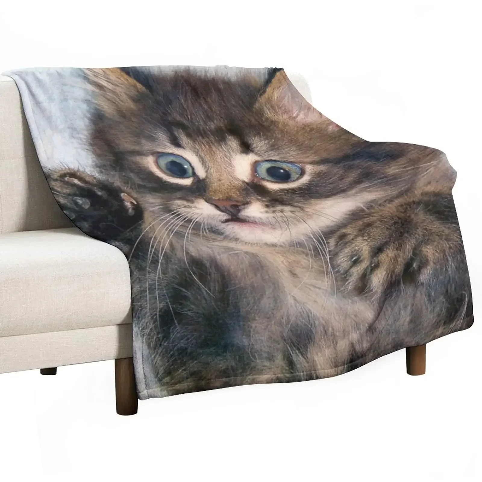 

Kitten Throw Blanket Sofa Blankets Sofas Of Decoration bed plaid Blankets