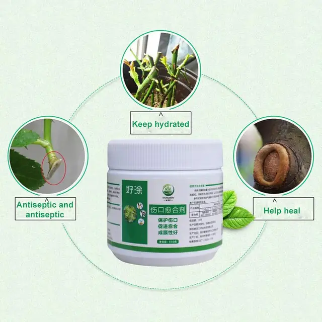 Metsző Tömítés A Fa Kerti Metszéshez Gyógyító Paszta Bonsai Sebes Pecsét Krém Vágó - Image 3