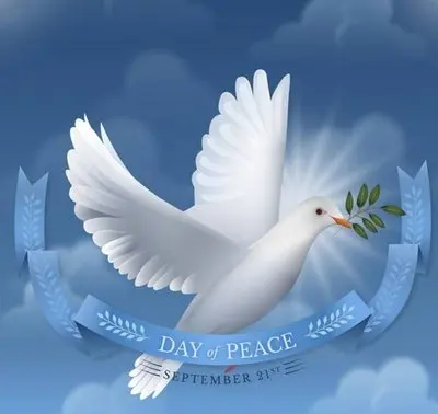 The peace store Digital 3C Store
