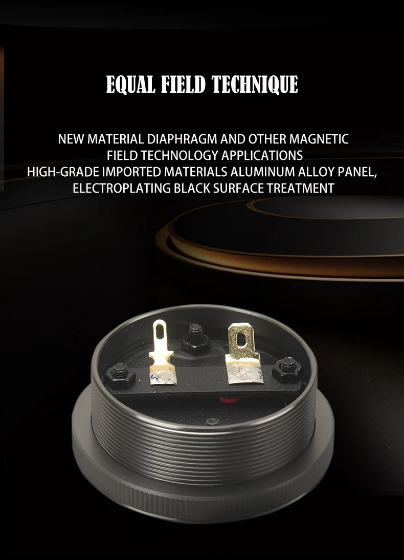 Hifi 2 Zoll pneumatische Hochtöner Lautsprecher einheit Neodym starker Magnet 4Ohm 30w Lautsprecher AMT-53 – Detail 2