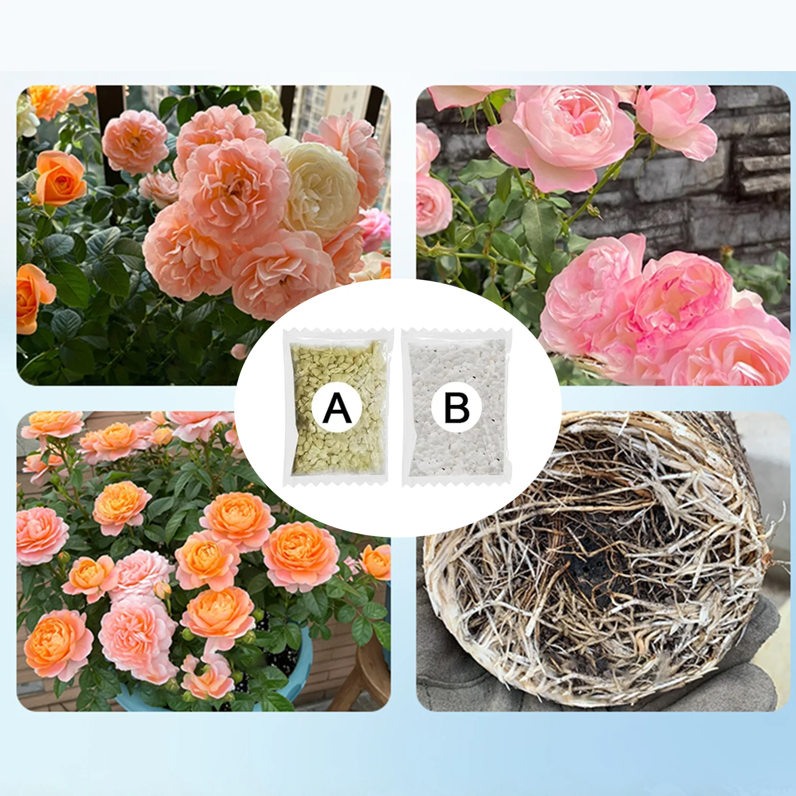 Plant Nutrient Solution Hydroponic Plant Nutrient Fertilizer Non-Polluting All-Purpose Formula A+B Two Part Set