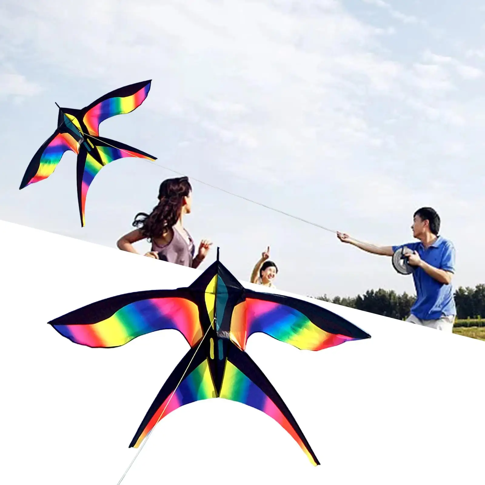 Large Swallow Kite Single Line Vivid for Outdoor Games Activities 5