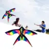 Large Swallow Kite Single Line Vivid for Outdoor Games Activities 5