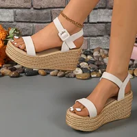 Summer Chunky Wedges Sandals Women 2025 Plus Size 35-42 Thick Paltform Sandles Woman Ankle Strap High Heels Sandalias Mujer - Image 2