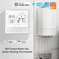 WiFi WaterGas Boile