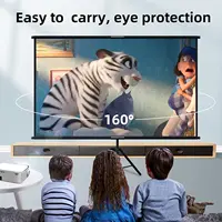 VEIDADZ Projector Screen With Stand Foldable White Less Creases 60 84 100 120 inch Soft Double Sided Screen Home Theater Outdoor - Image 3