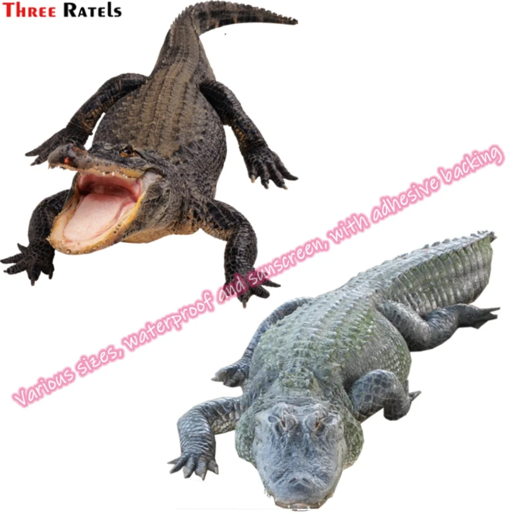 

Наклейки Three Ratels N235, аксессуары для тюнинга, для инопланетянина, для Kia Sportage, Принадлежности для мотоциклов