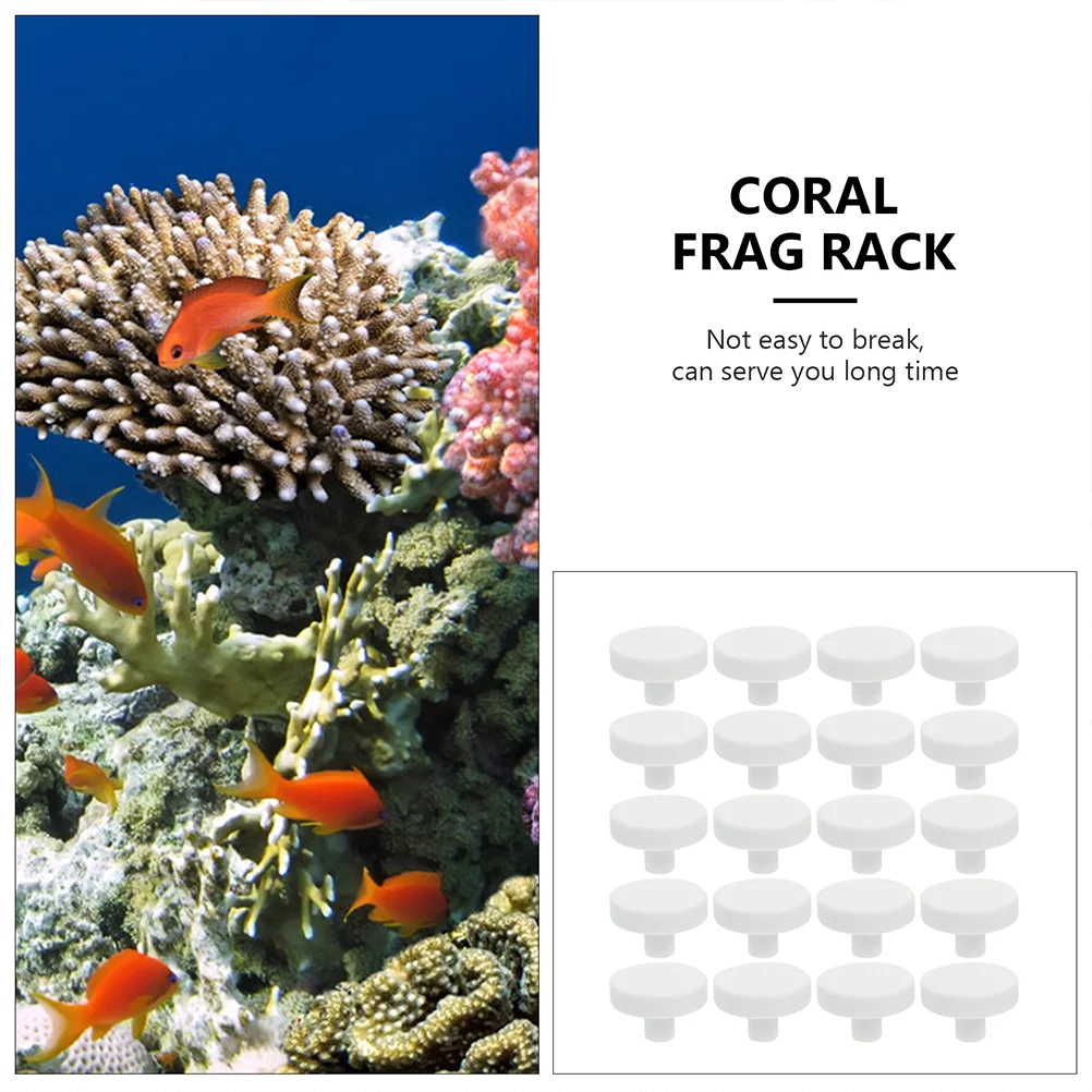 Ceramic Coral Plugs Base T Shaped Aquarium Support Fish Tank Decor Bracket Coral Holder Rack Branch Parts Pet Products High