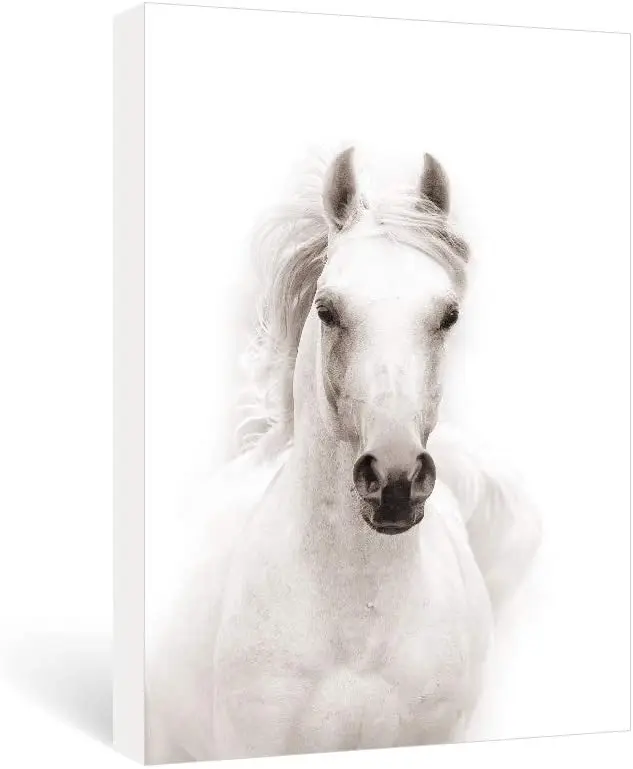 Modern wall art black and white horse picture office animal canvas painting print frameless artwork Living room decoration |