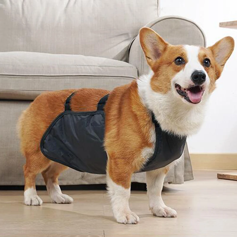 퍼그 코기 애완 동물 강아지 Bellyband 옷 방수 통기성 더러운 배꼽 커버 턱받이 포켓 개 의상 Corgi Bellyband 조끼