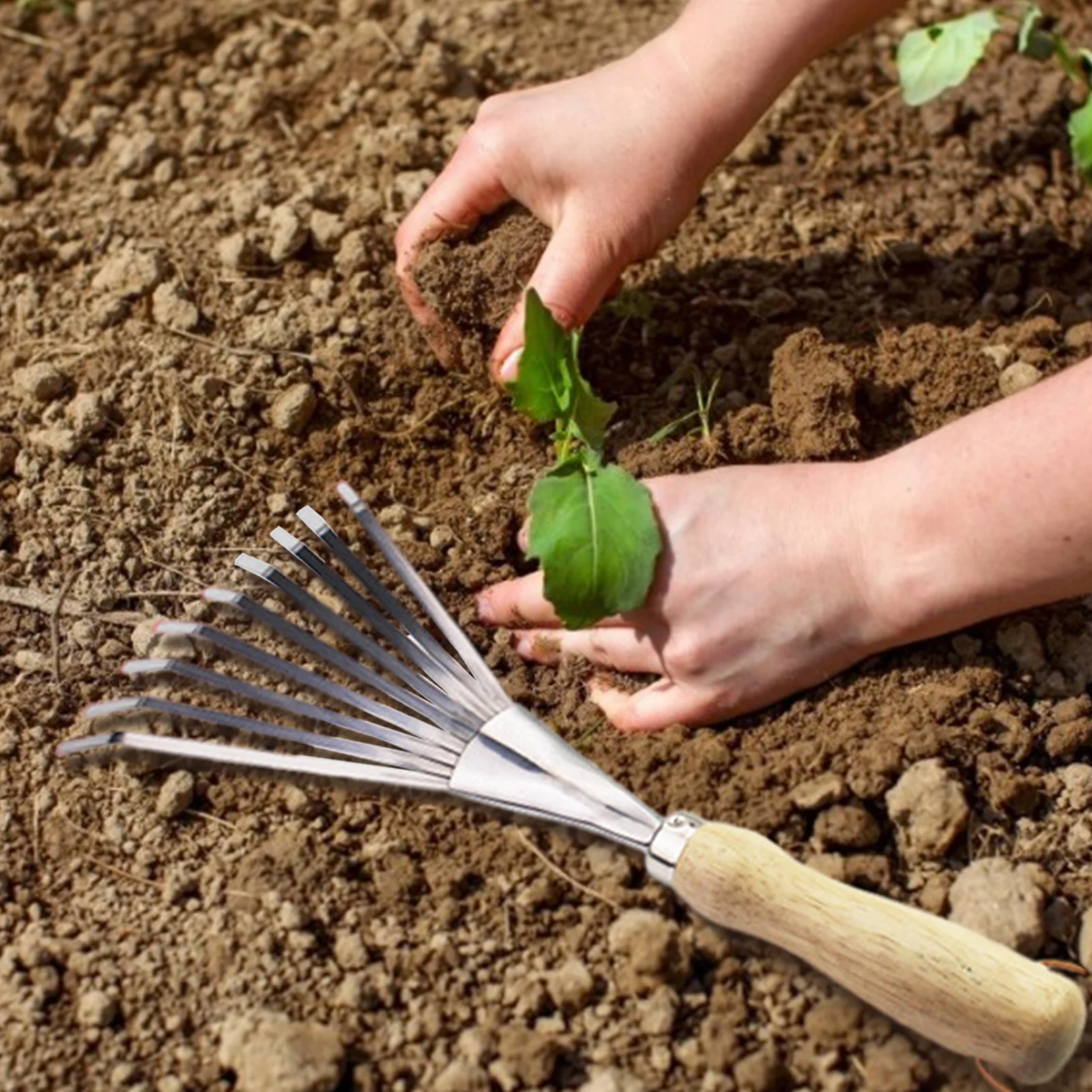 Jardim nove dentes grama ancinho jardim vaso folha morta pá plantio solo solto plástico ancinho para vasos de plantas pátio jardim