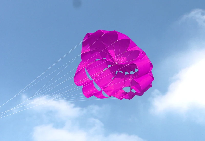 Dual-Line Stunt Power Kite – Soft Parafoil Kite for Kids, Ideal for Outdoor Flying and Kitesurfing stunt kite