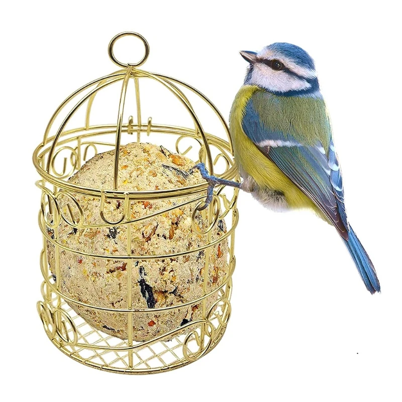 FATBALL & APPLE PERCH Bird FEEDER Holds 4 items ~Low Cost ~ Simple Design ! 