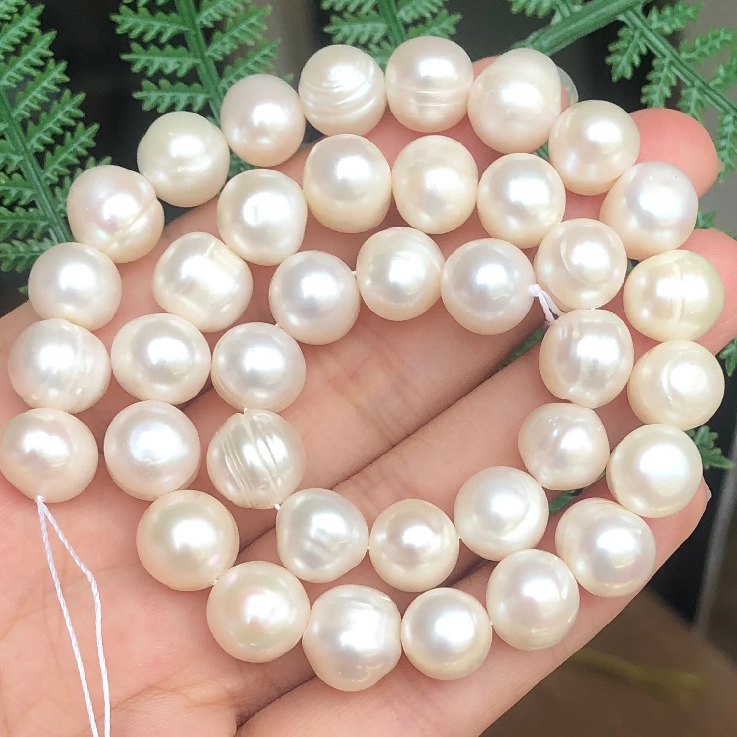 9-10m M Button Freshwater Pearl Beads for Jewelry Making - China